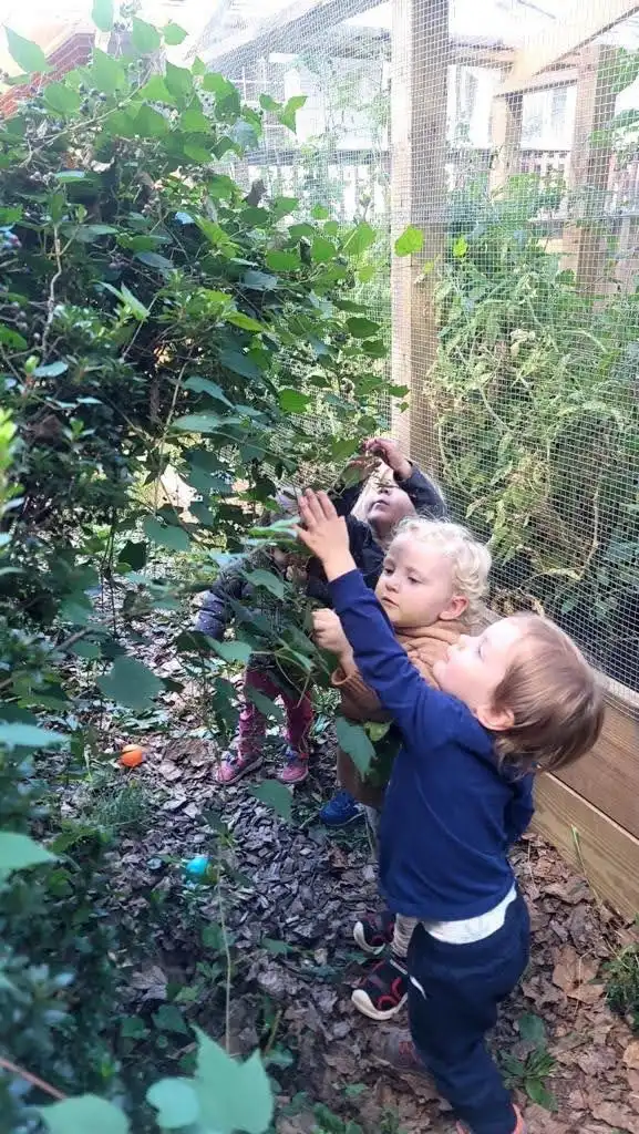 Green yard with shade trees and seating